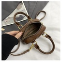 CR8825Brown-8118